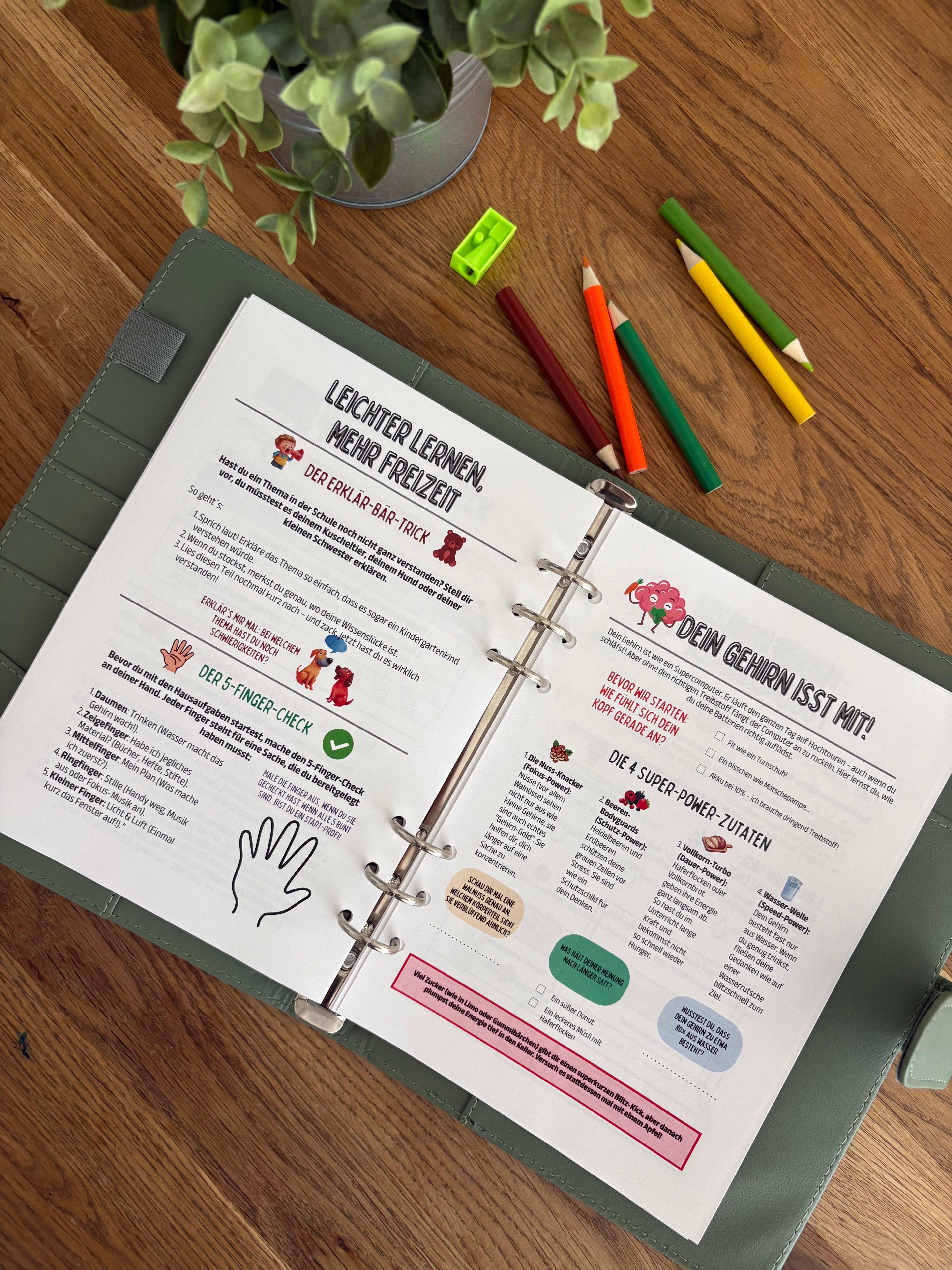 Der Schul- & Freizeit Planer | Schule. Freizeit. Ich. | 12 Wochen | Selbstständig planen. Kreativ wachsen. Jeden Tag entdecken.